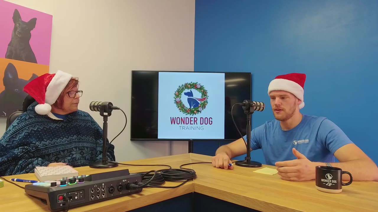 Keep Your Dog OFF Holiday GUESTS!, Leaving the Tree/Decorations Alone & More — 034: Dog Talk