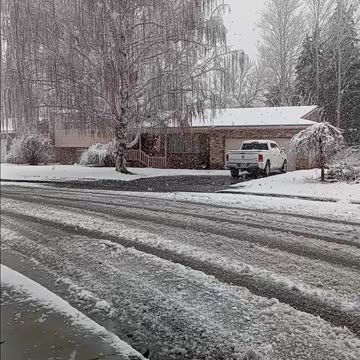 walking the dog in the snow