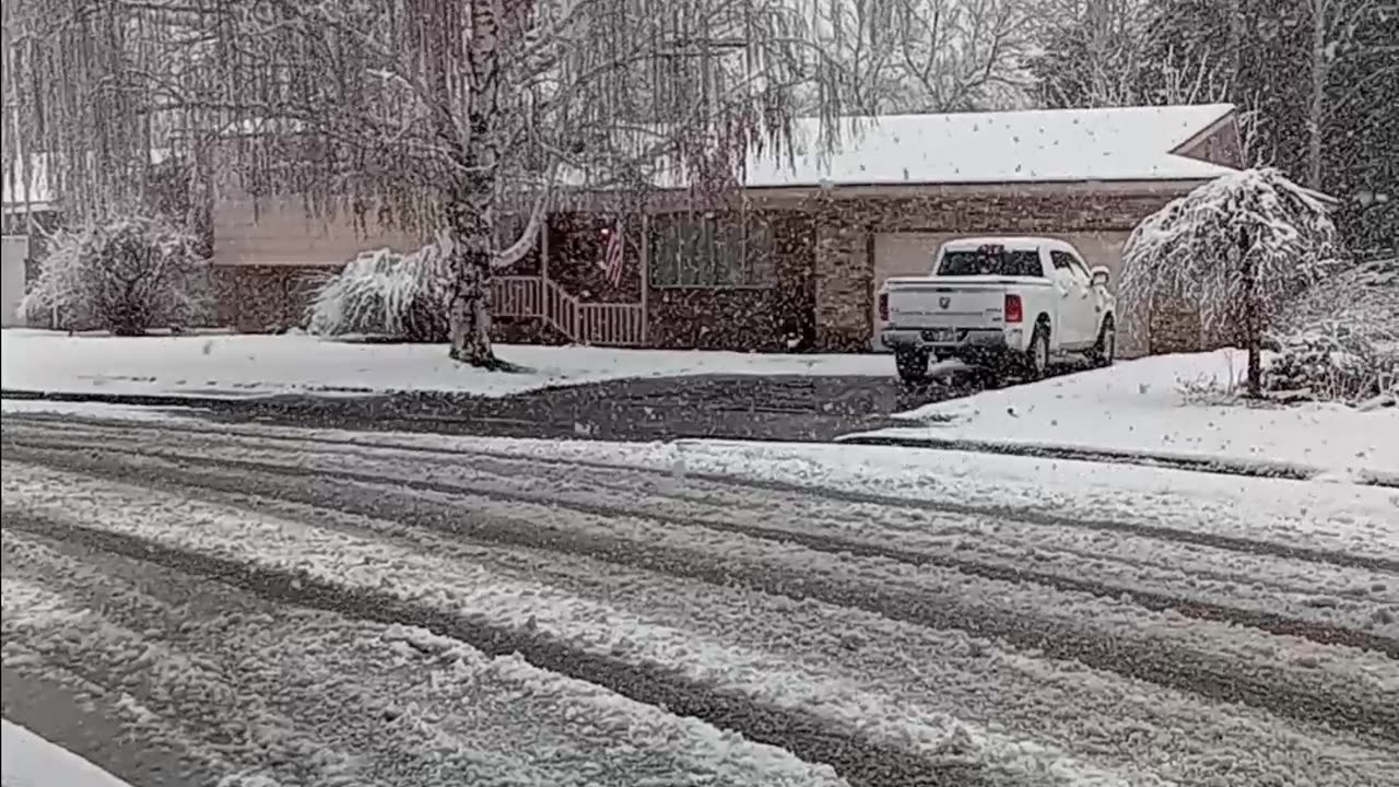 walking the dog in the snow