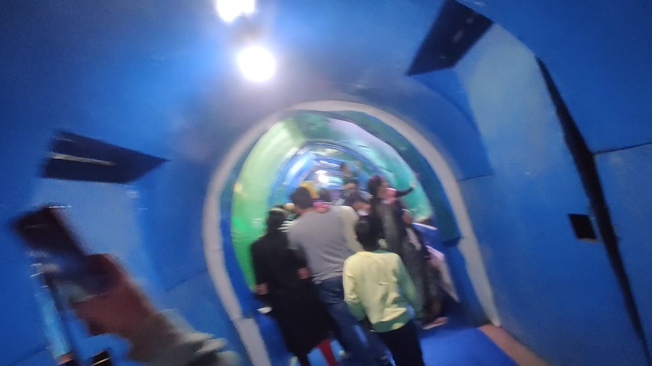 Acquarium fish tunnel