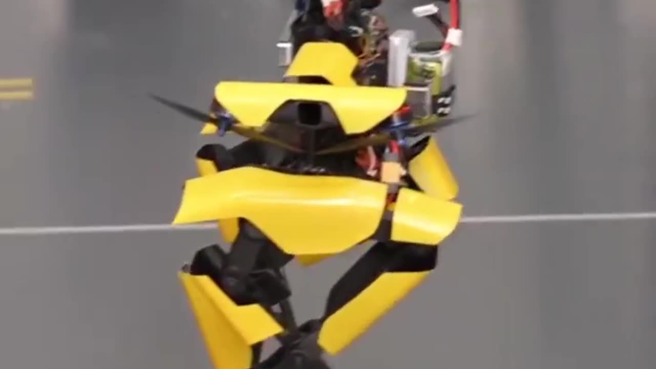 Flying robot