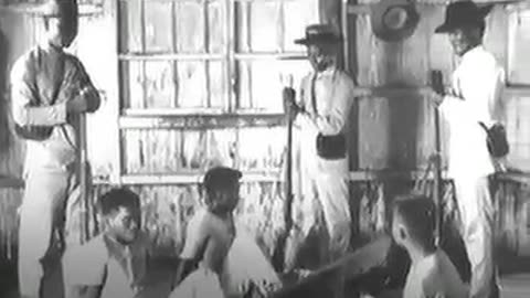 It's the Genocide History Forgot...