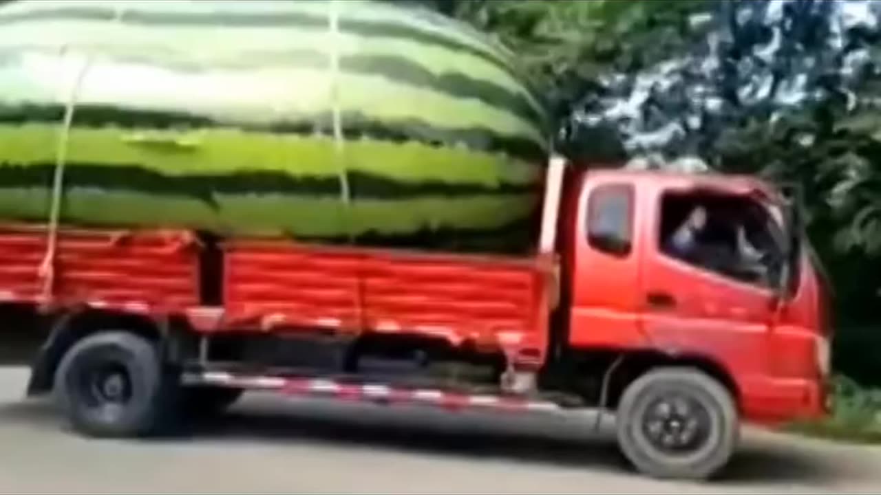 World biggest fruits & vegetabls