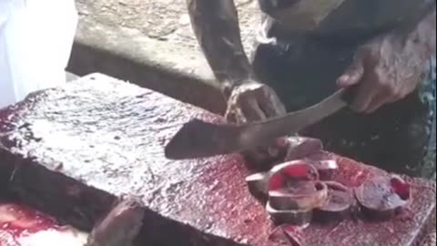 Amazing fish cutting skills