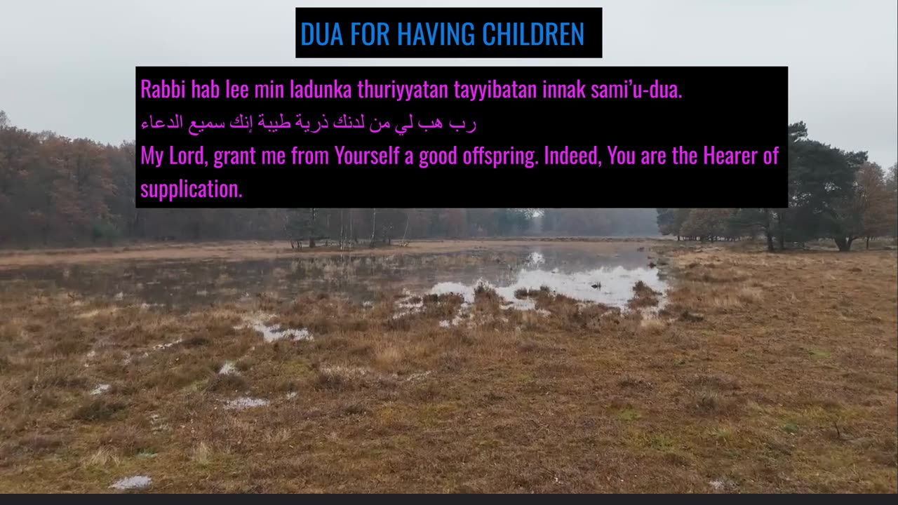 DUA FOR HAVING CHILDREN