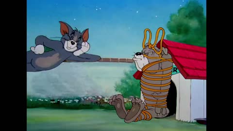 Tom and Jerry cartoon