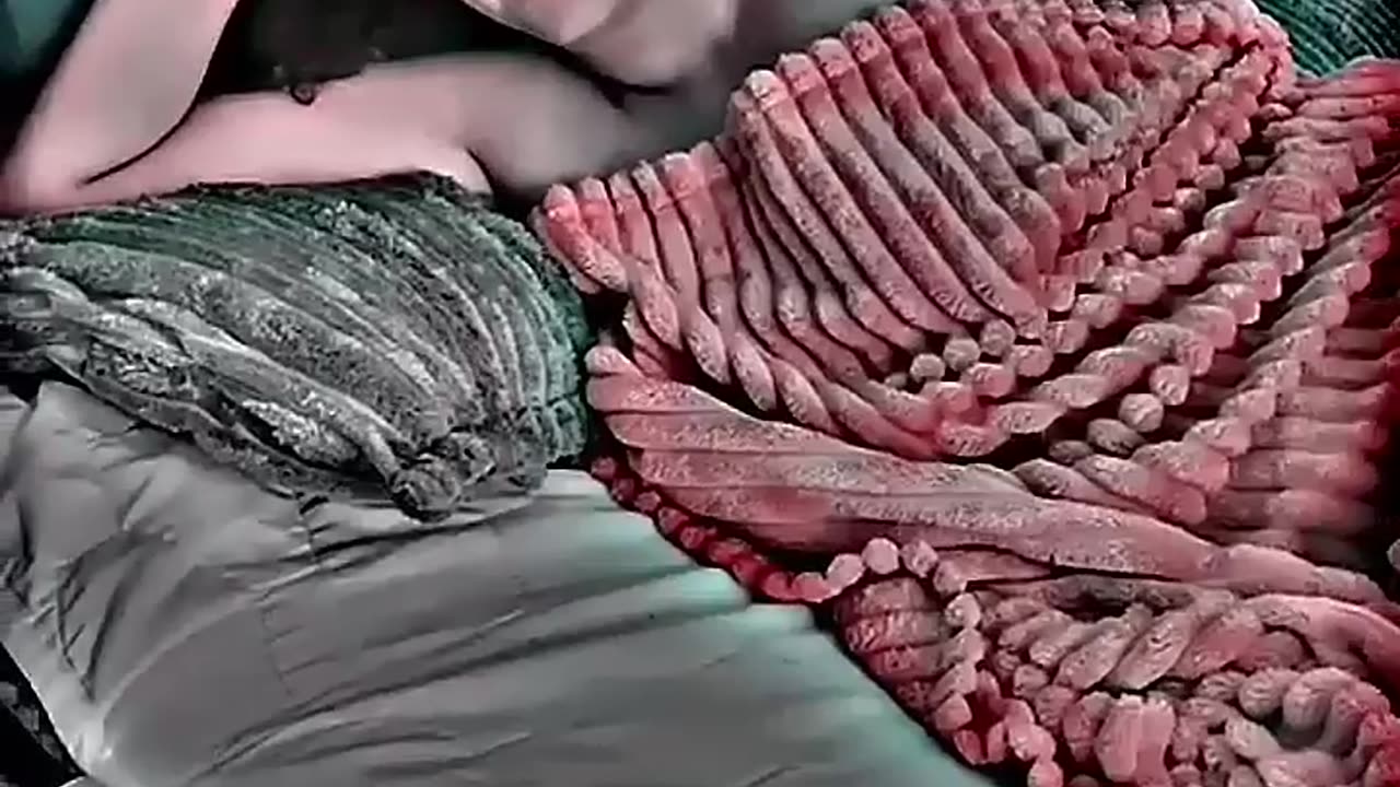 zzzzzxxxxxxxx