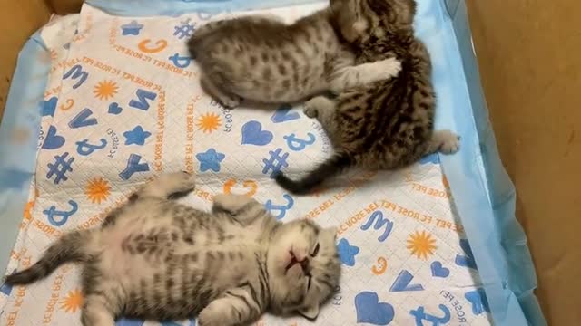 Stange sleeping position ...🥰 🥰 🥰