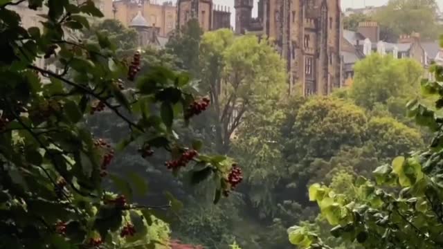 Has been attracted by the architectural atmosphere of "Edinburgh"