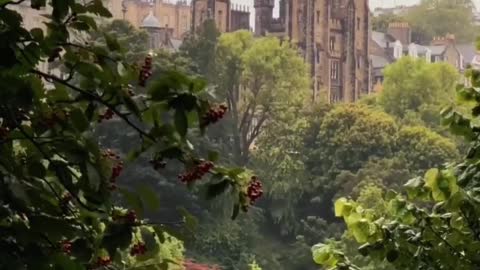 Has been attracted by the architectural atmosphere of "Edinburgh"