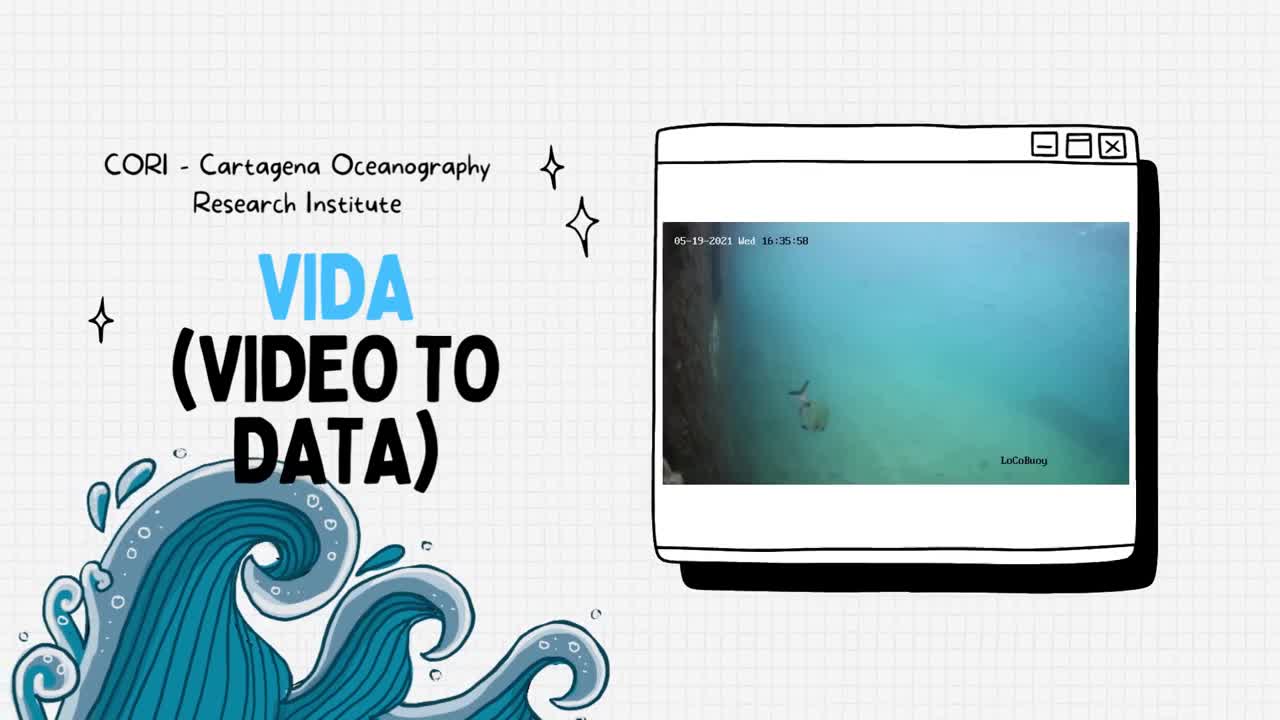 Proyecto ViDa (Video to Data)