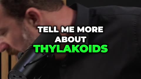 Are Thylakoids 🌿 the Secret to Lowering Blood Sugar_ 🩸🌱