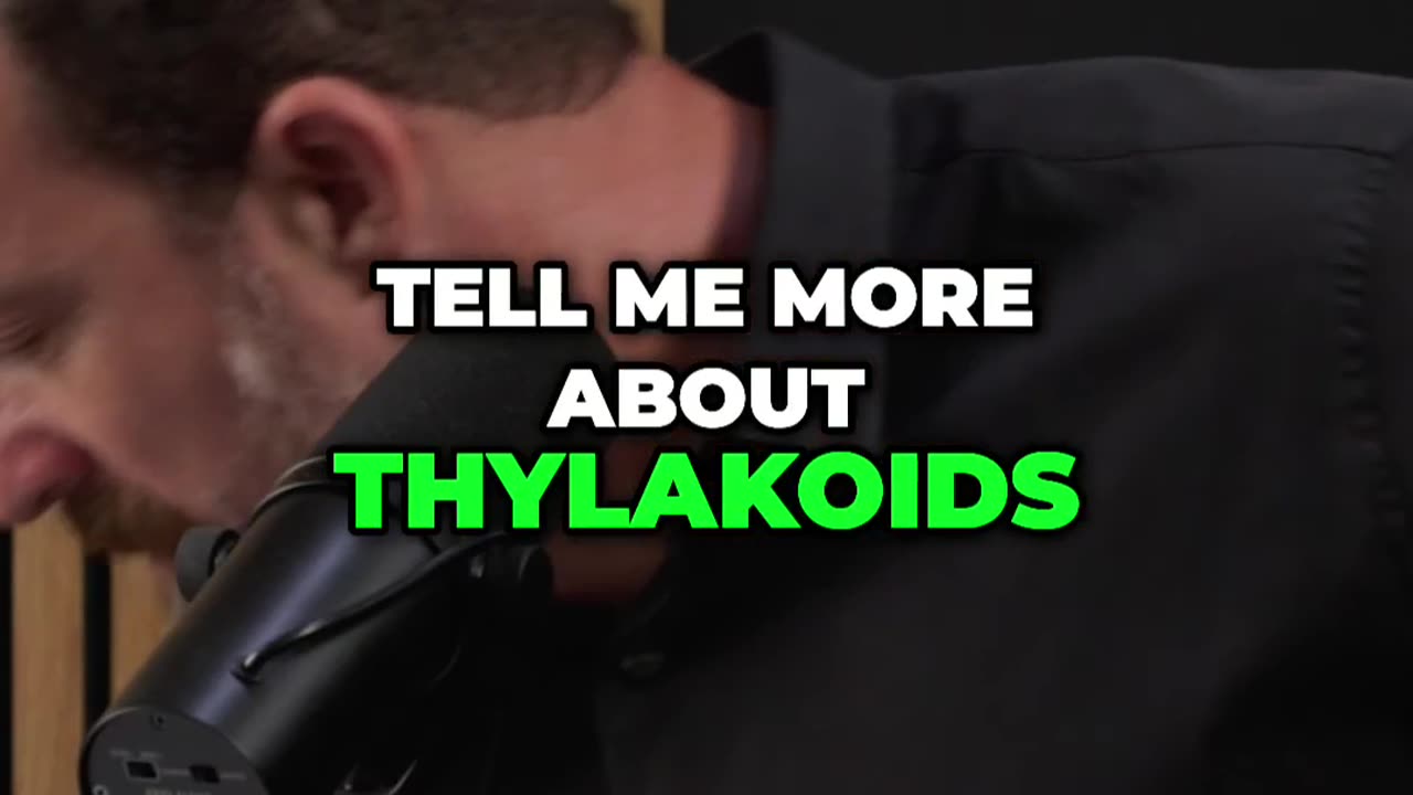 Are Thylakoids 🌿 the Secret to Lowering Blood Sugar_ 🩸🌱