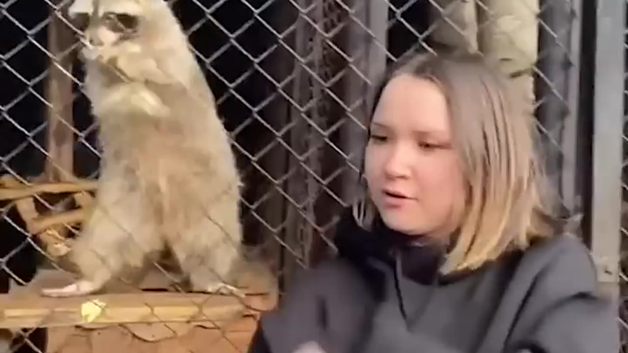 #Cuteness