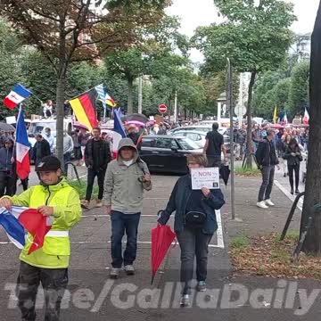 Strasbourg (France) german and french citizens walked together against the vaccine passport