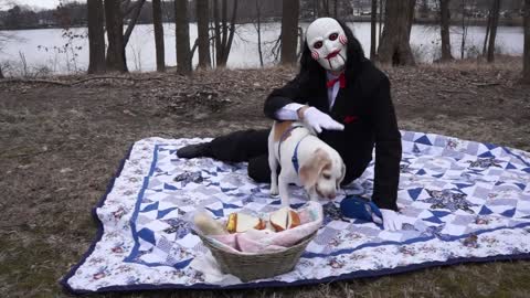 Dog vs Jigsaw Prank Funny Dogs Befriend Billy the Puppet From Saw Movie