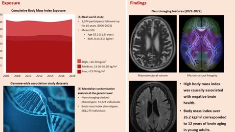 Shocking Findings: High BMI Accelerates Brain Aging by 12 Years