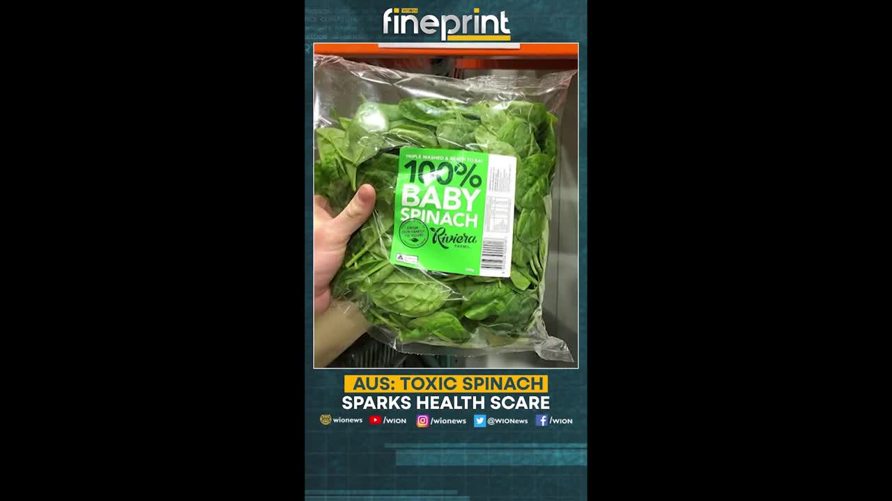 WION Fineprint _ Australian spinach causing hallucinations_