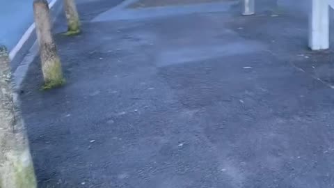 Matt...