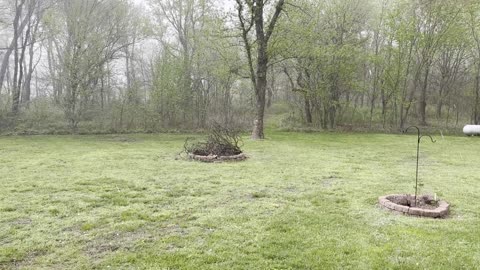 Hail in the Ozarks