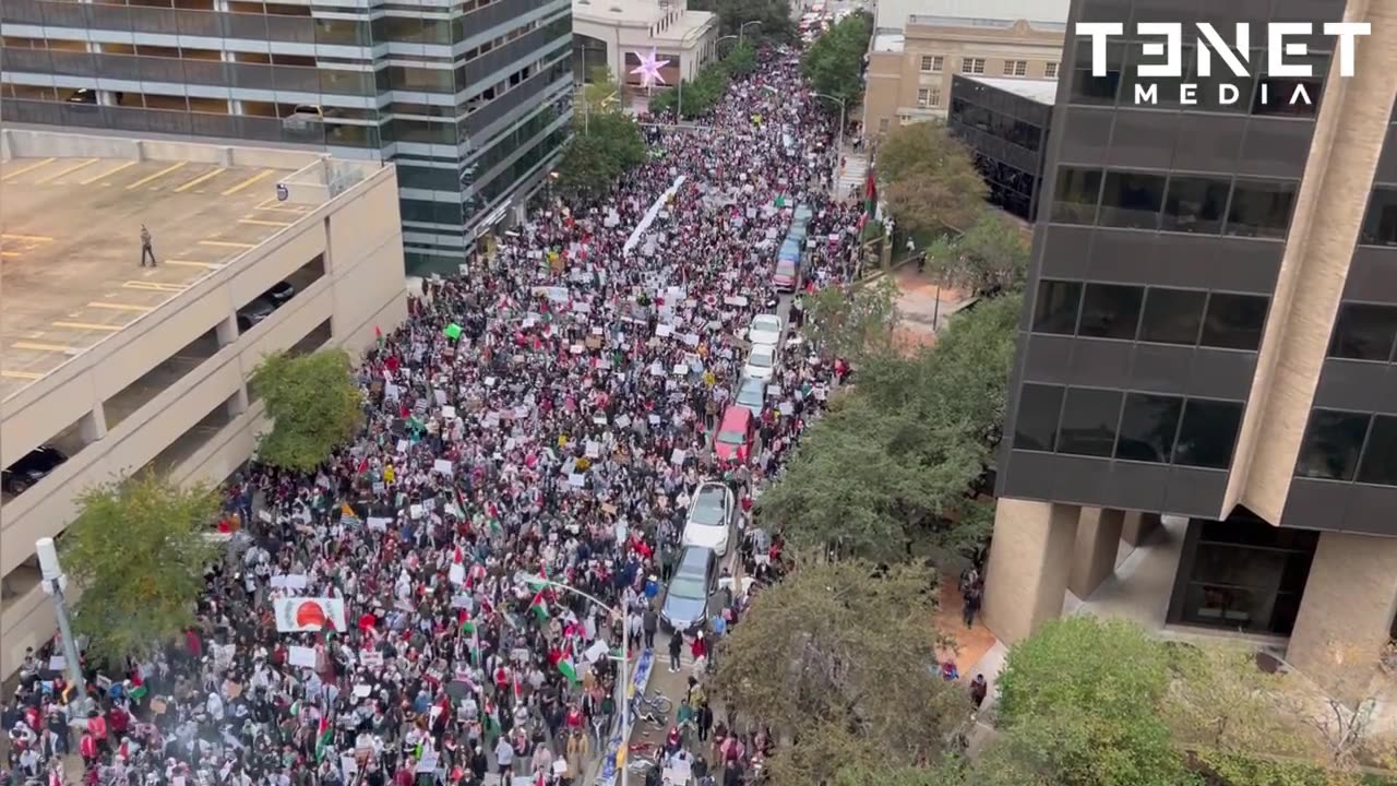 Thousands gathered in Austin, Texas for a pro-Palestine protest on Nov. 12.