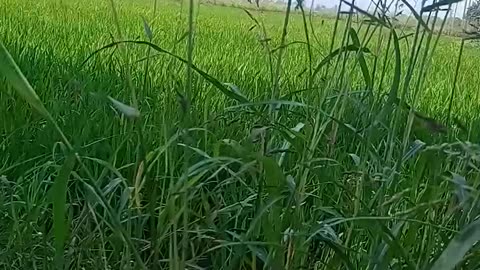 Enjoy every day and every moment that's it...