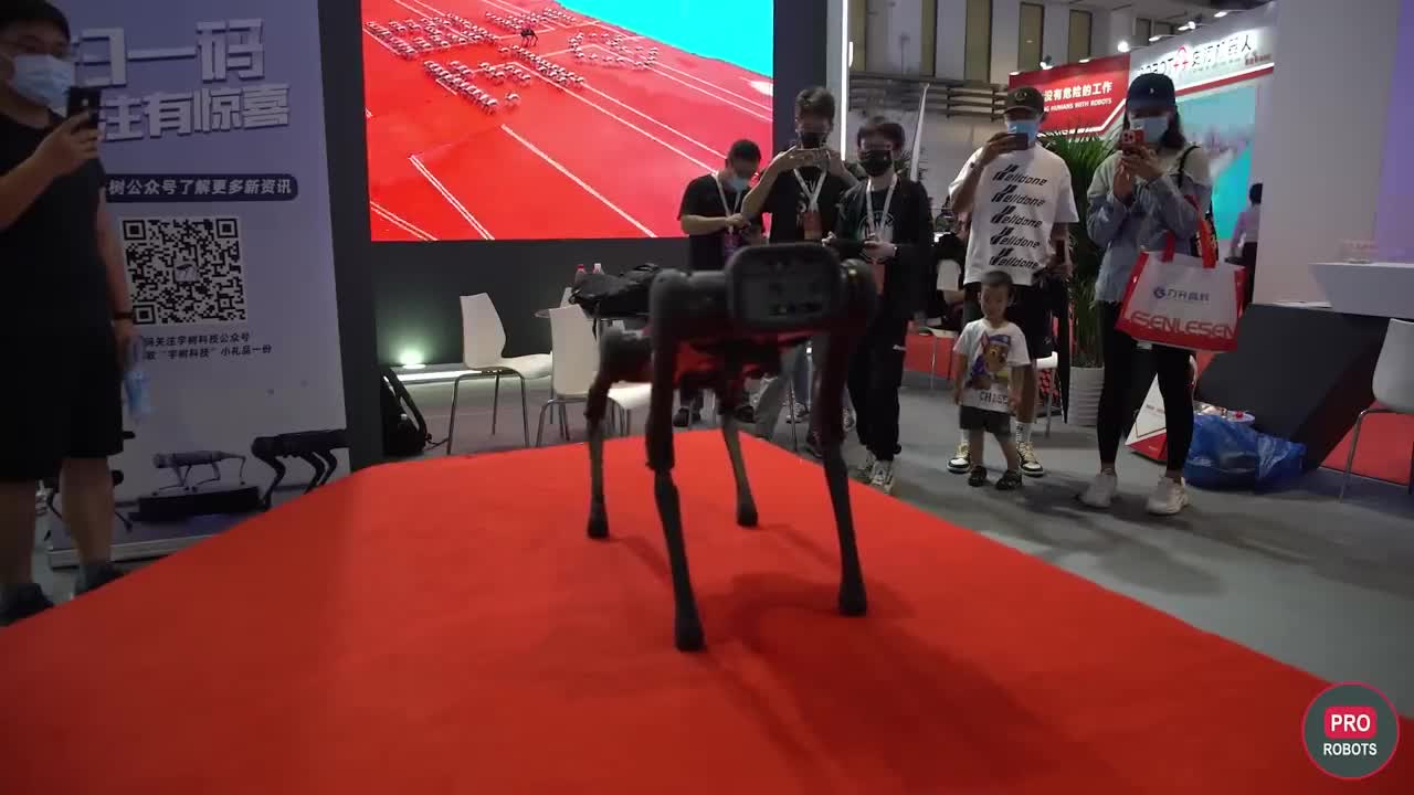 Robot exhibition from china