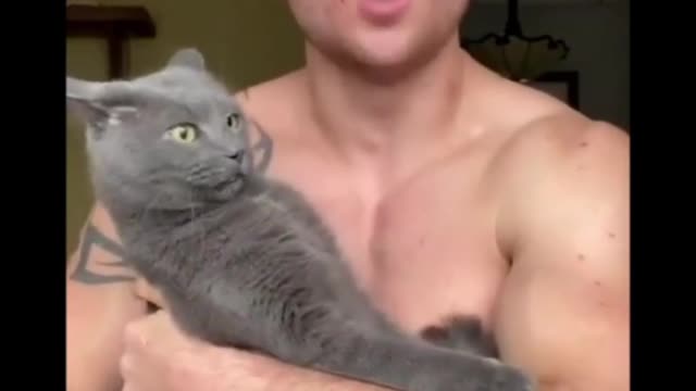 Why was the cat so surprised