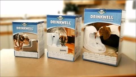 Video Drink Well de Petsafe y American Pets