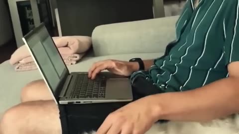 Funniest cats🐱In The World😂 Funny and Fails Pets Video shorts 54 cats funn