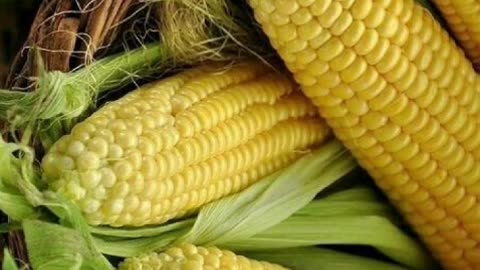 Bhutta khane ke fayde