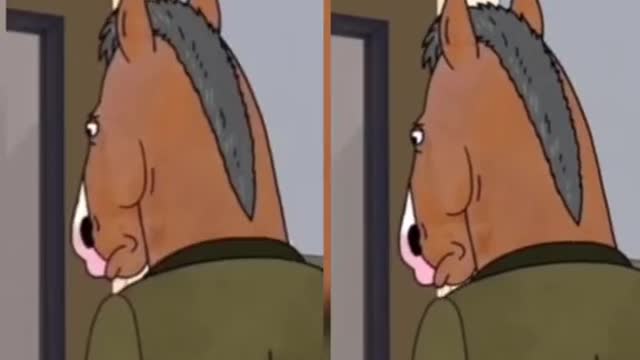 BOJACK HORSEMAN.. THIS WAS SUPPOSED TO BE A CELEBRATION