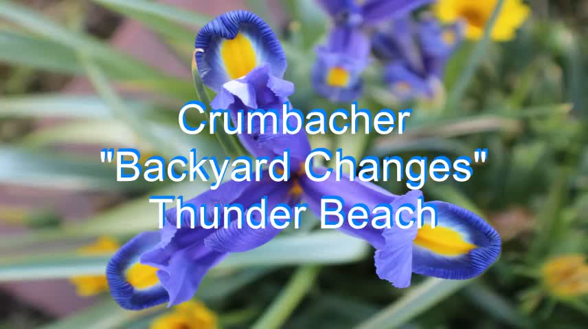 Crumbacher - Bakyard Changes #254