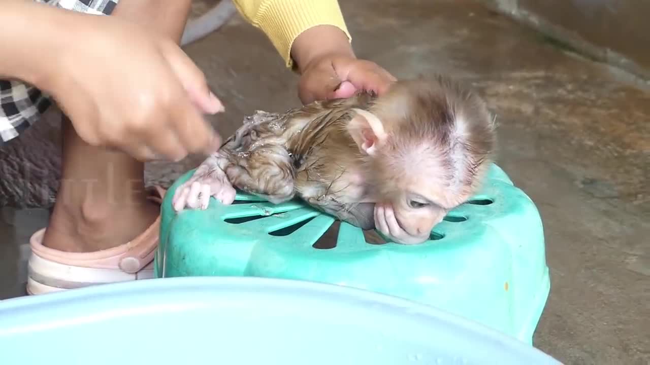 Wow!! Cute Little Baby Iron Very Sleepy Yawn Big Mouth After Take A Bathing