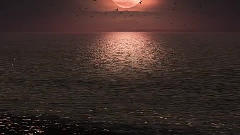 La luna splendente sta sorgendo sopra il mare,