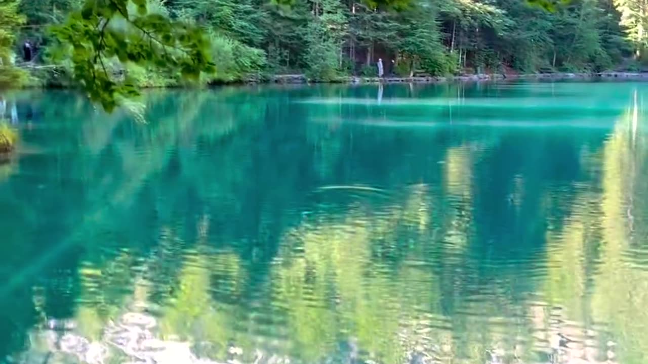 Picturesque Lake Blausee, Switzerland. Good morning!!