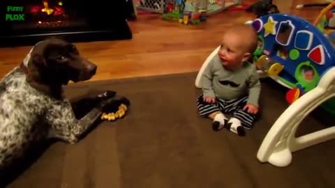 Babies laugh hysterically at dogs compilation