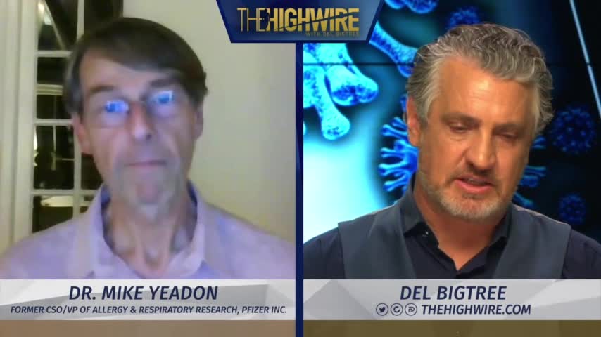 Dr. Michael Yeadon - THE HIGHWIRE - June 10, 2021