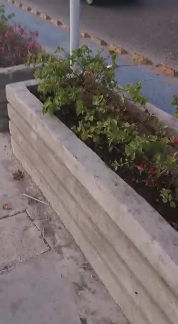 Vándalos en el sendero peatonal