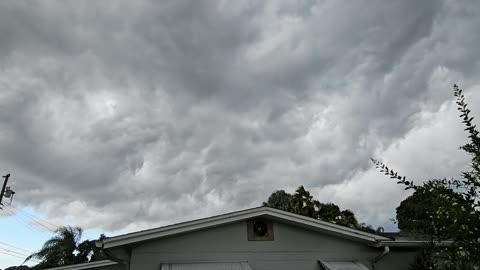 Storm Front Mafia