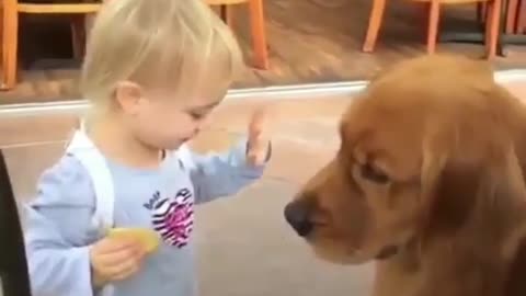 Children with dogs