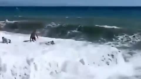 A Couple Swept out to Sea.mp4