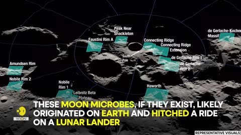 NASA scientist admits that the Moon 'might already have life on it' | WION Original