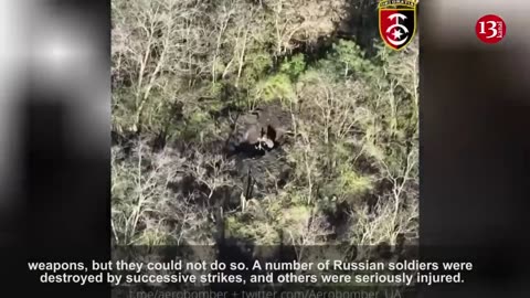 Russians, preparing to fire on the Ukrainian fighters from wooded area, were themselves fired upon