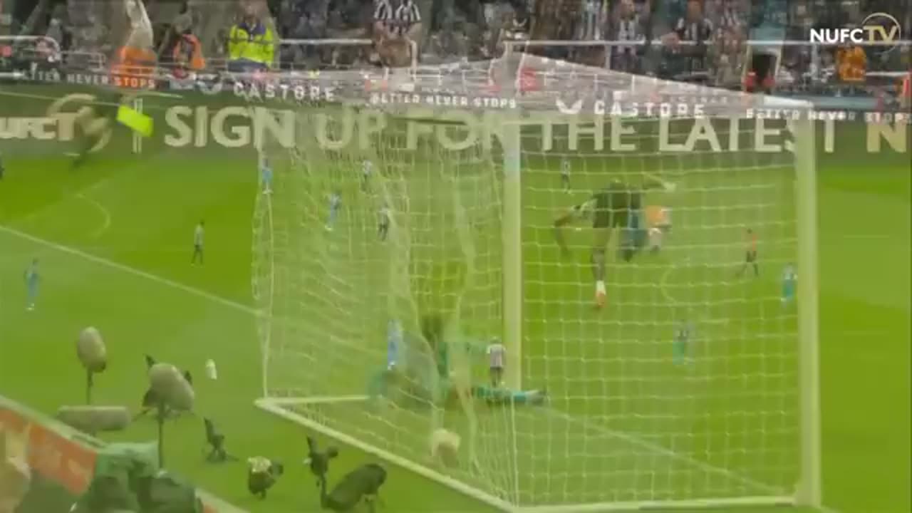 Newcastle vs tottenham