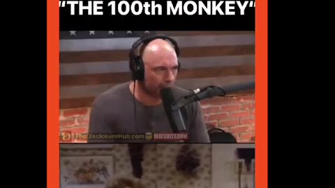 Keep calm it's all staged