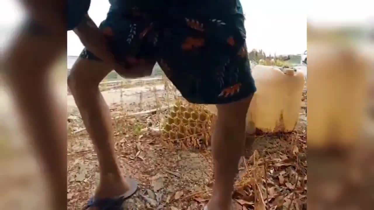 It's strong. The stool is soft. It's delicious.