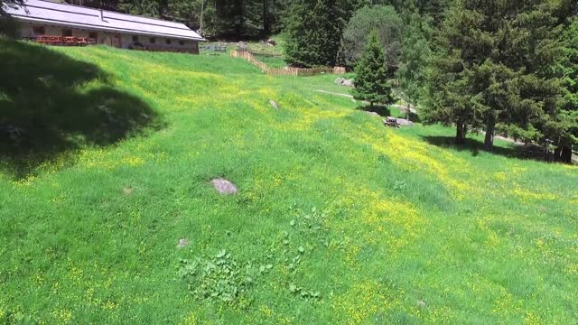 Malga Frattasecca Val di Pejo Trentino