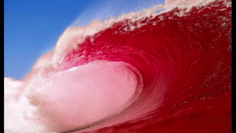 FAKE RED WAVE MANIA