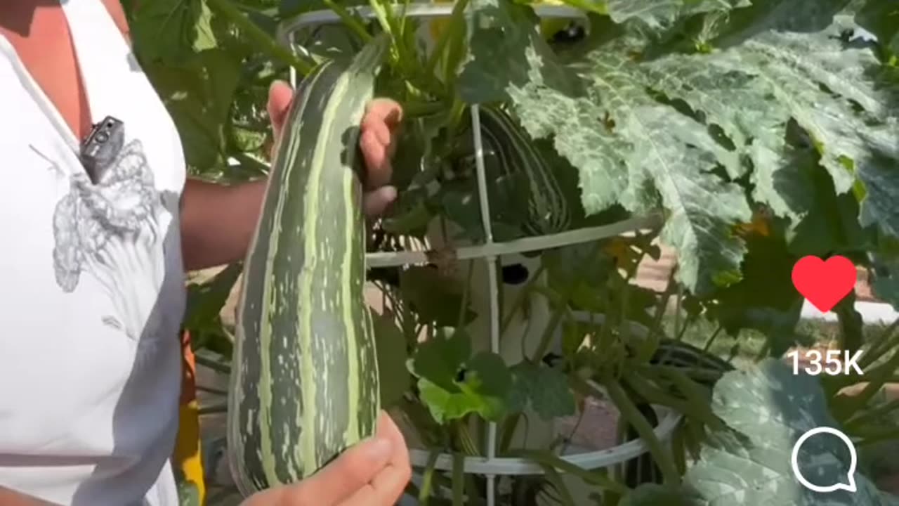 These Gardens Are Insane !